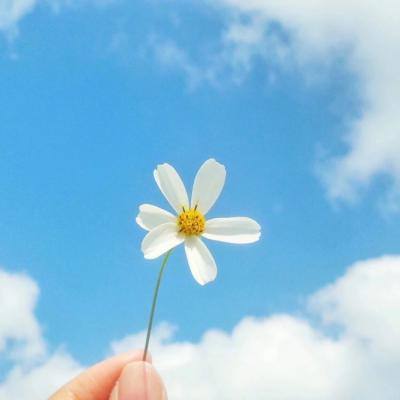 管家婆一码一肖资料大全