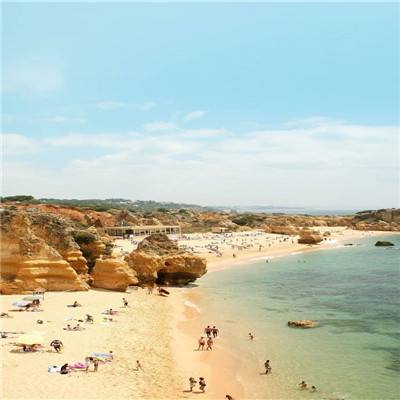 半岛官方网站入口下载